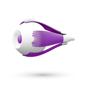 Офтальмология