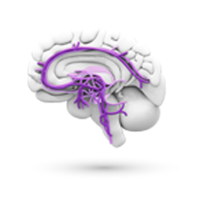 Логотип Психоневрологические заболевания